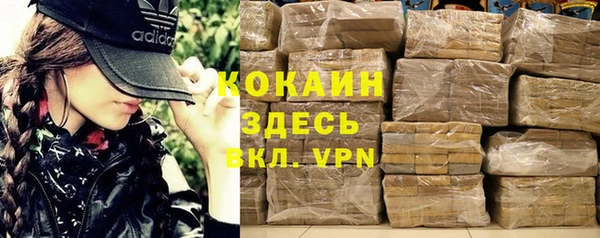 дмт Белокуриха