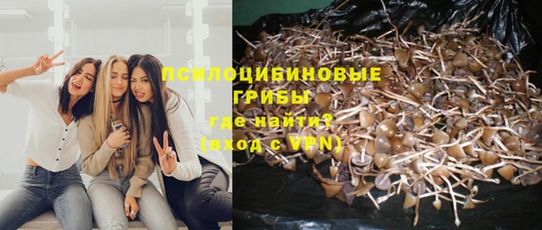 а пвп мука Беломорск