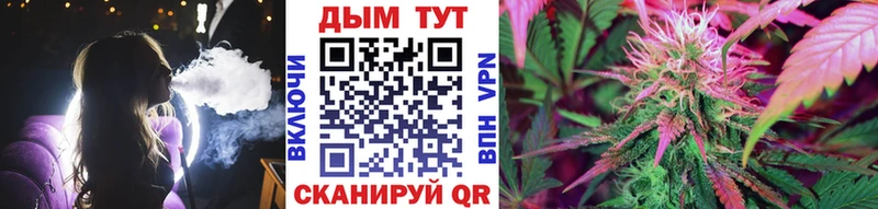 даркнет телеграм Северская Канабис марихуана